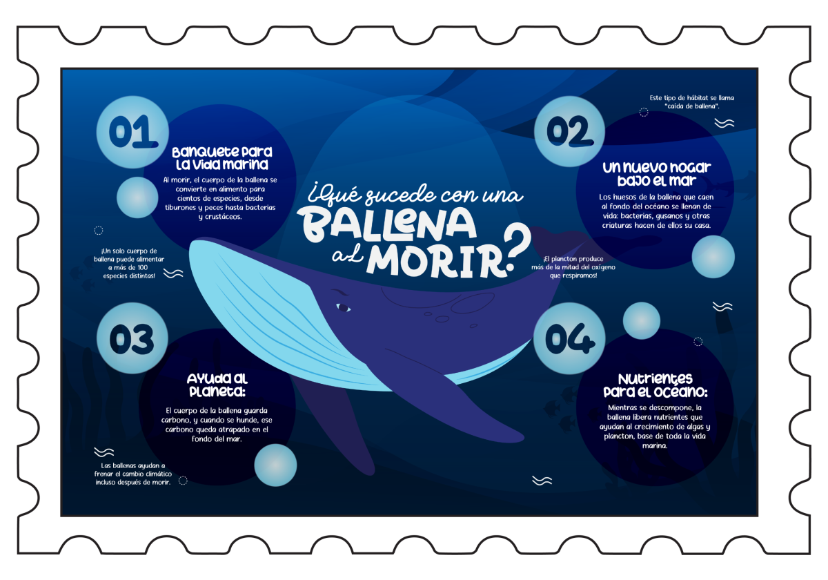 Info01_Mesa de trabajo 1