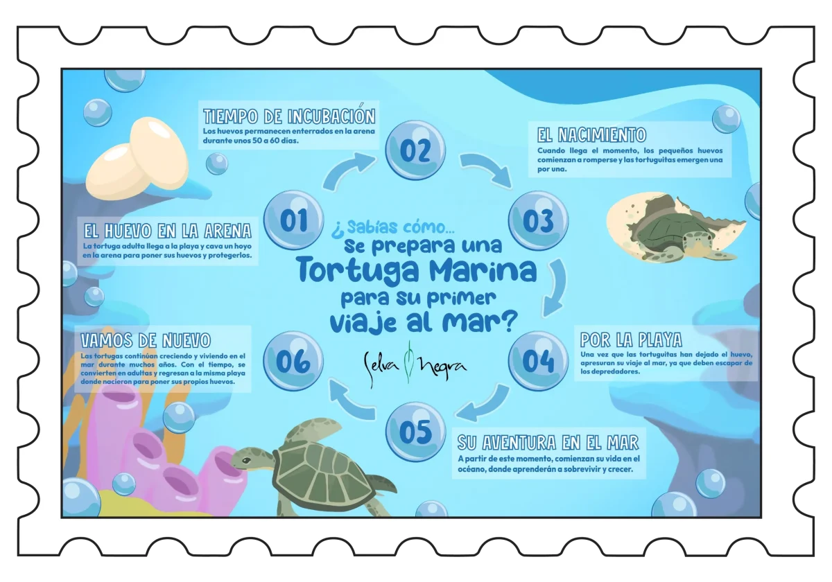 Info02_Mesa de trabajo 1
